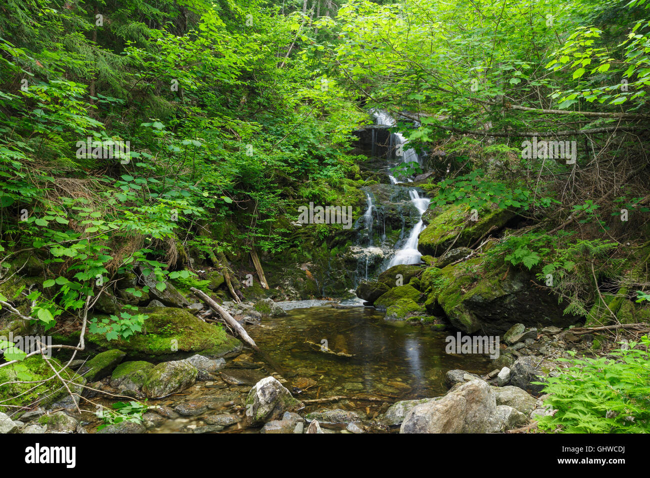 Canyon cadere lungo sperone Brook in basso e Burbank la concessione, New Hampshire durante i mesi estivi. Foto Stock