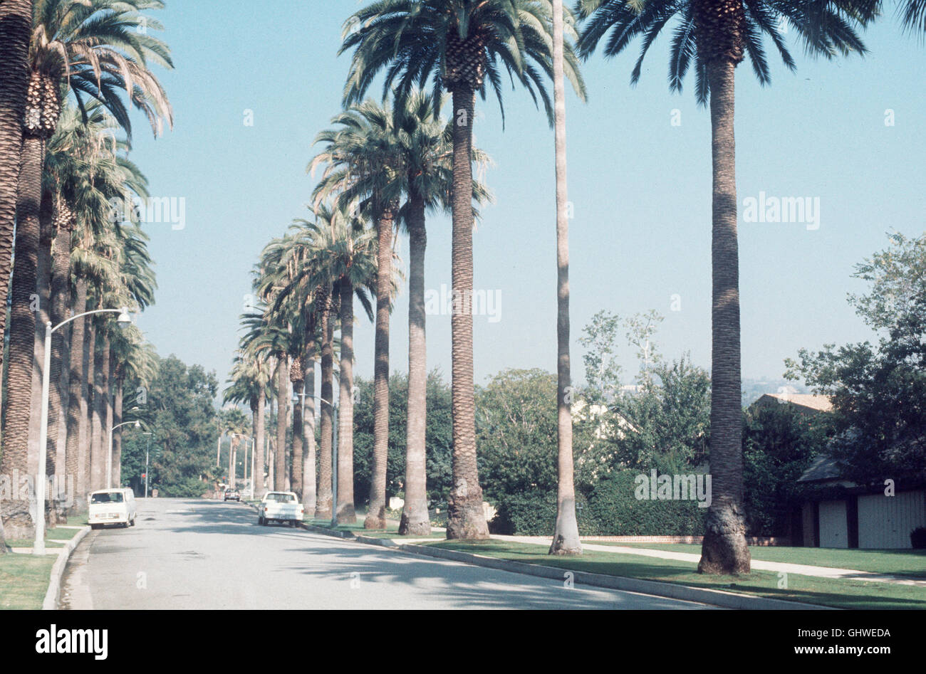 LOST ANGELES- Los Angeles gilt als Modell für "villaggio globale" - es ist eine Stadt ohne Zentrum, eine Stadt, die keinen Halt gibt, eine Stadt der Zukunft in der alles offen möglich ist. Traum und Trauma sind hier oft identisch. 'Lost Angeles' macht an den wichtigsten Schauplätzen dieser Stadt den Wahn und den Wahnsinn, den orrore und die alti von Los Angeles erlebbar. BIld: LOS ANGELES; BEVERLY HILLS G aka. Dokumentarfilm von Eckhart Schmidt Foto Stock