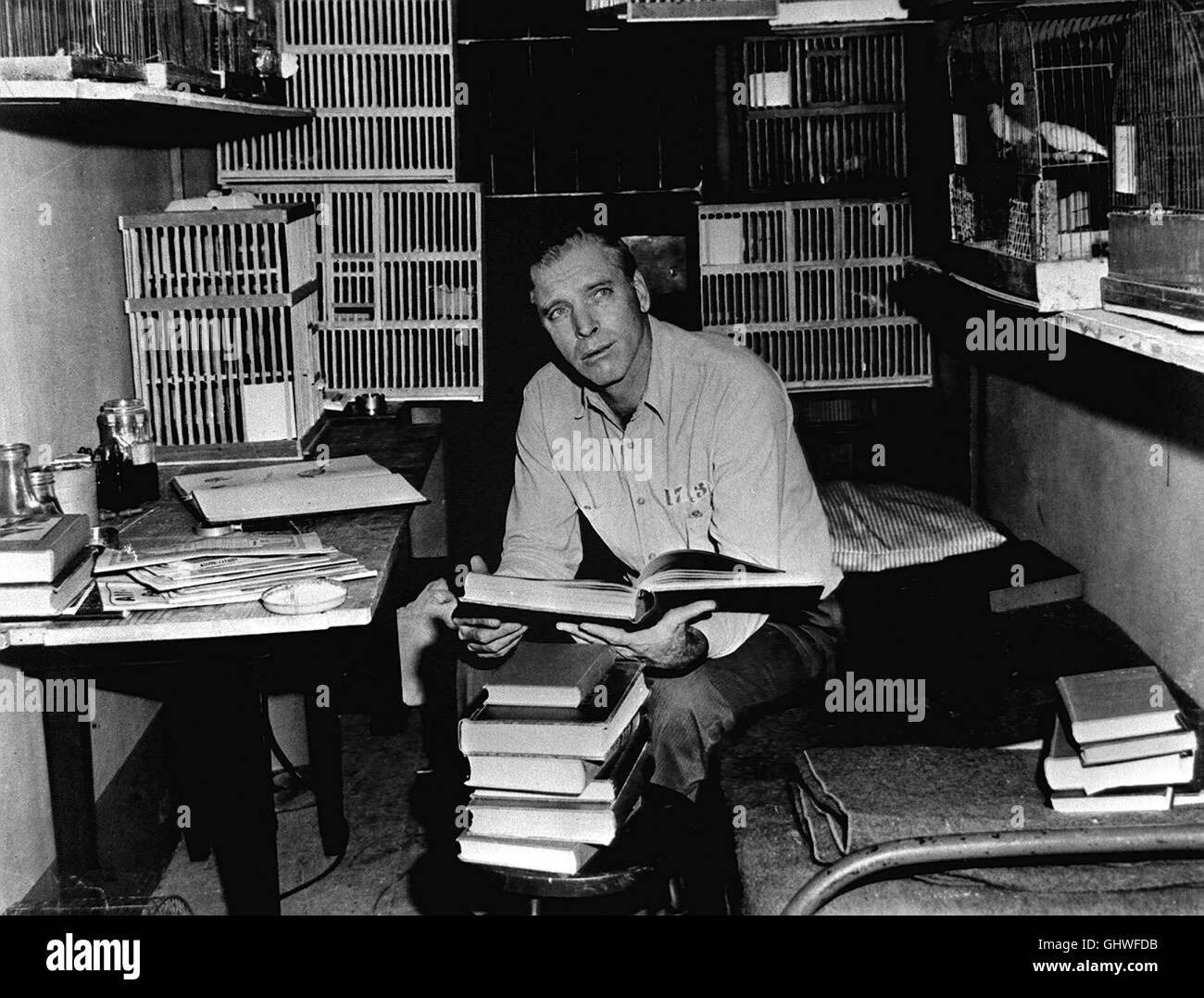 DER GEFANGENE VON ALCATRAZ Birdman of Alcatraz Der Film erzählt die Geschichte eines Doppelmörders, der sich während circuizione 53jährigen Haftzeit charakterlich wandelt und sich zu einem Experten der Vogelkunde entwickelt ... In der Hauptrolle: BURT LANCASTER als Robert Stroud. Regie: John Frankenheimer aka. Birdman of Alcatraz Foto Stock