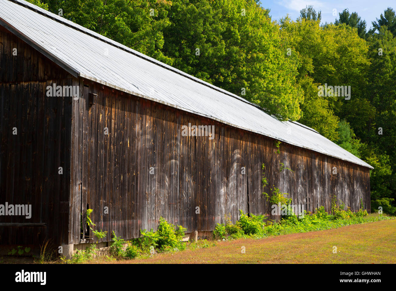 Capannone di tabacco, Northwest Park, Windsor, Connecticut Foto Stock