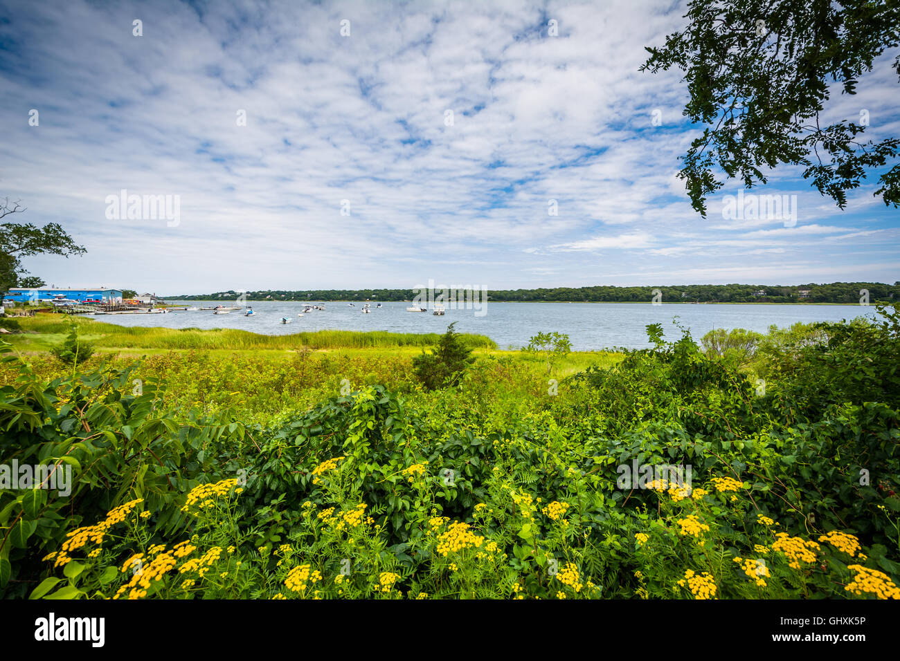 Fiori e città Cove, in Orleans, Cape Cod, Massachusetts. Foto Stock