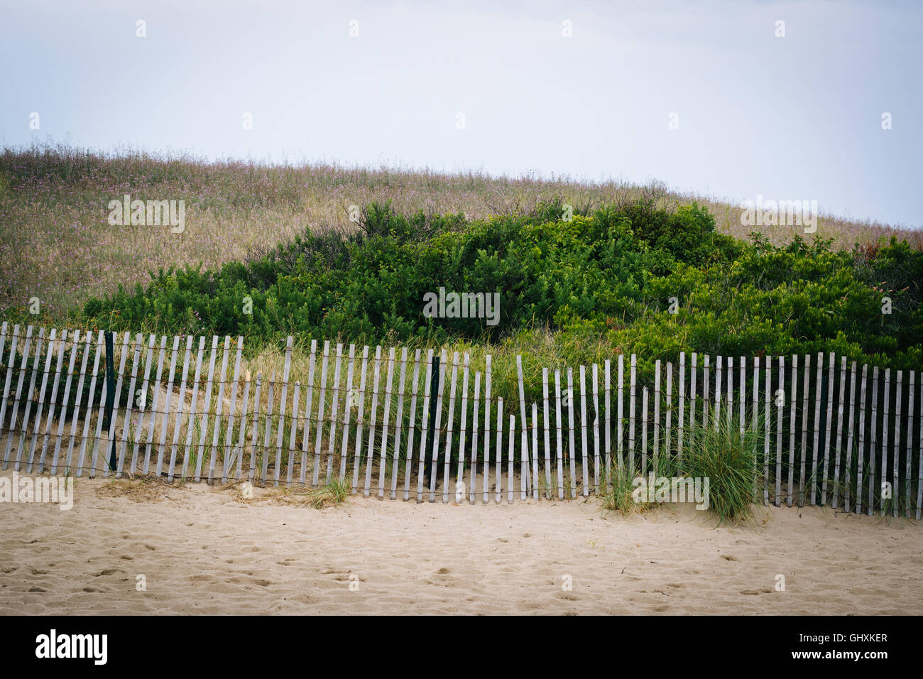 Le dune di sabbia e una recinzione in sandwich, Cape Cod, Massachusetts. Foto Stock