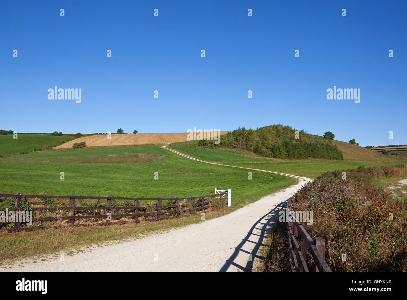 Azzurro cielo sopra un calcare bianco agriturismo via attraverso il mosaico di campi di Yorkshire wolds in estate. Foto Stock