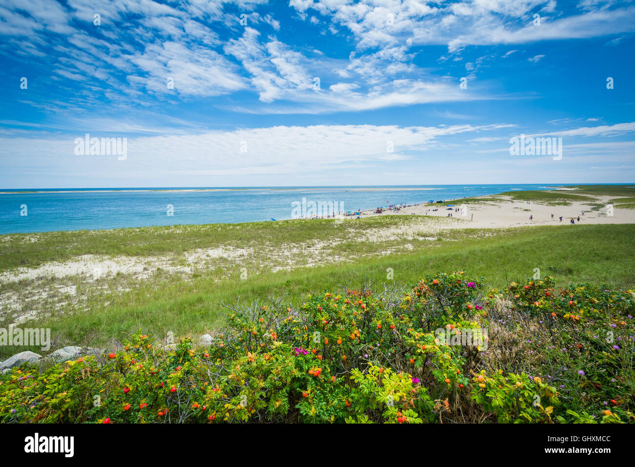 Vista di una spiaggia in Chatham, Cape Cod, Massachusetts. Foto Stock