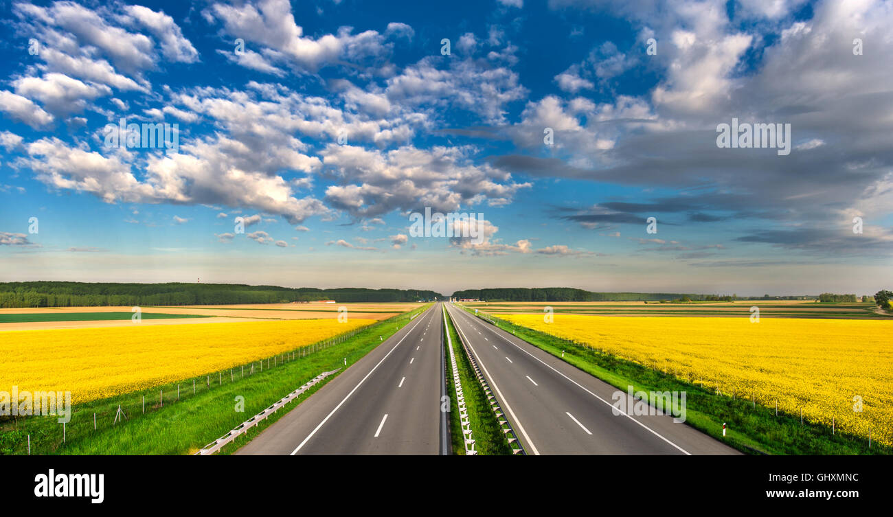 Autostrada attraverso i campi di semi di colza Foto Stock