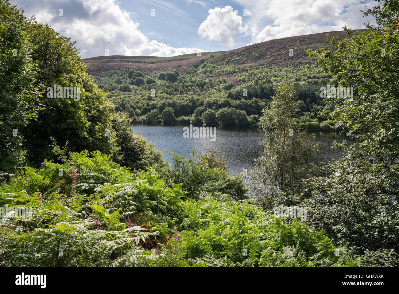 Vista del serbatoio di spazzole su un bel giorno di estate a Stalybridge country park in Tameside, Inghilterra. Foto Stock