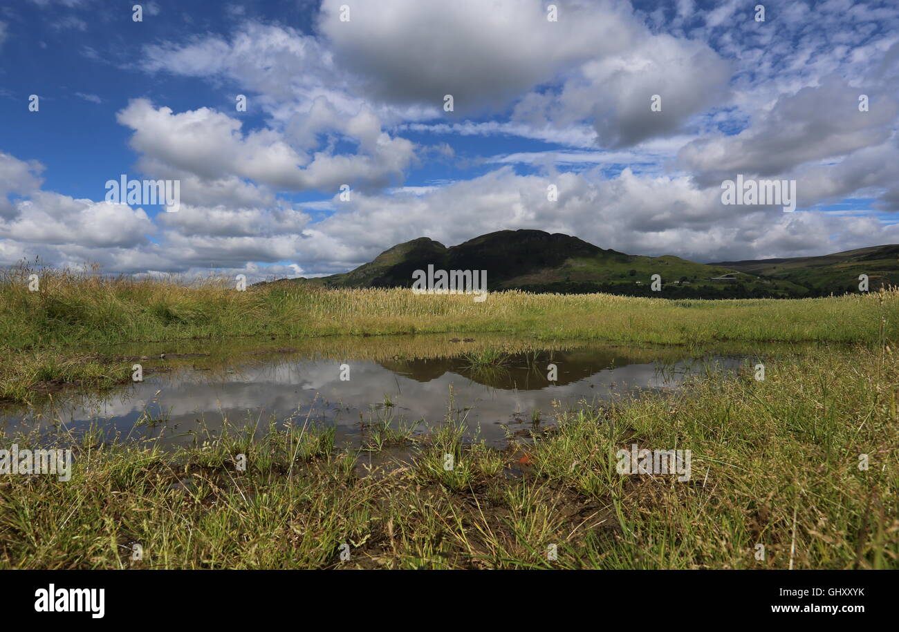 Dumyat Ochil Hills riflette la Scozia Clackmannanshire Luglio 2016 Foto Stock