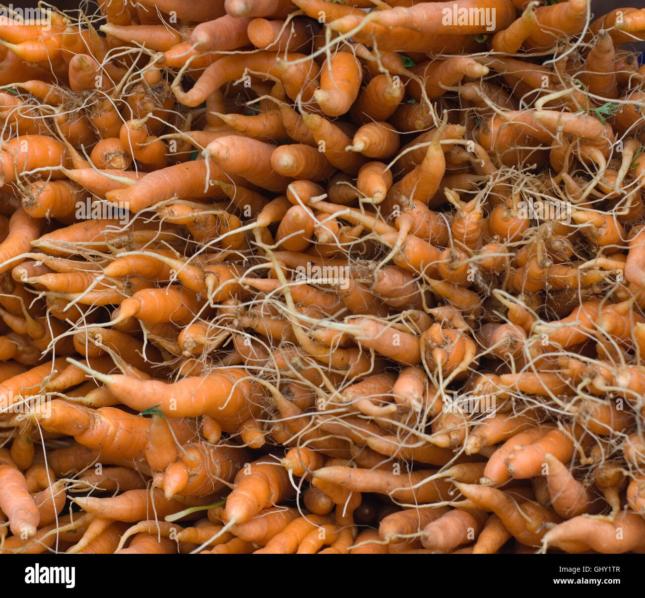 Produrre da Boulder Farmers Market Foto Stock