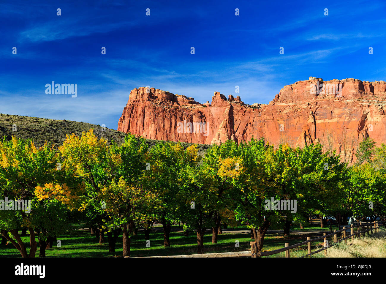 Cass Mulford orchard inizia a mostrare i colori della stagione autunnale in Fruita area del Parco nazionale di Capitol Reef, Utah Foto Stock