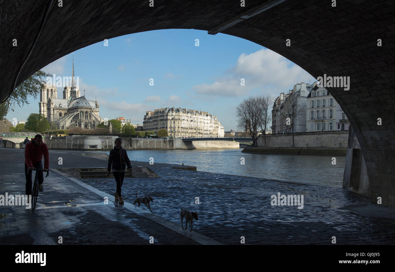 Per chi ama fare jogging in esecuzione sotto il Pont de la Tournelle sulla riva sinistra del fiume Senna, Parigi, Francia Foto Stock