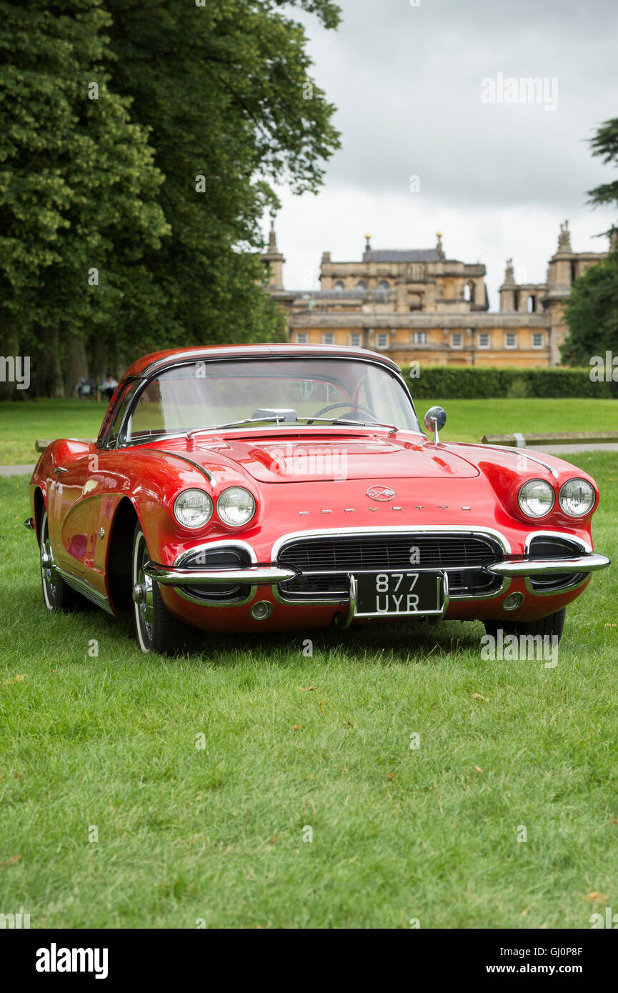 1962 Chevrolet Corvette. Classic American car Foto Stock