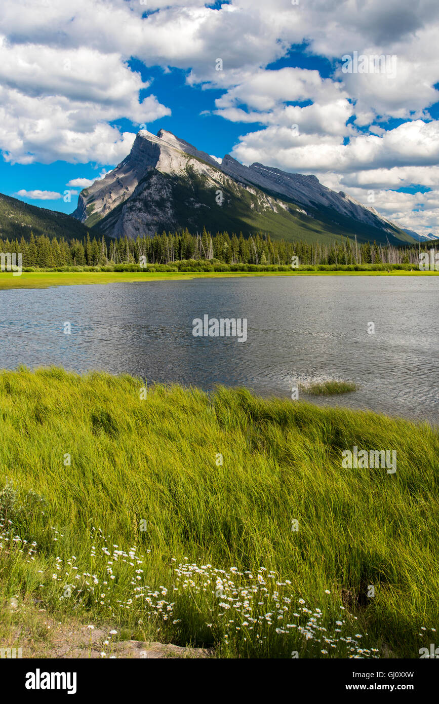 Mount Rundle e vermiglio laghi, il Parco Nazionale di Banff, Alberta, Canada Foto Stock