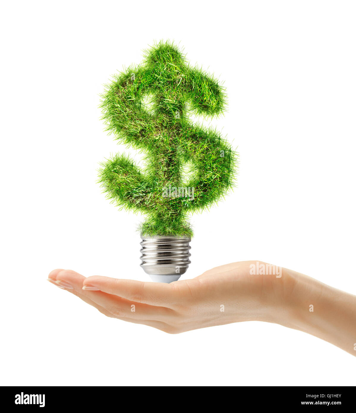 Il simbolo del dollaro fatti di erba come il bulbo della lampada in mano femmina Foto Stock
