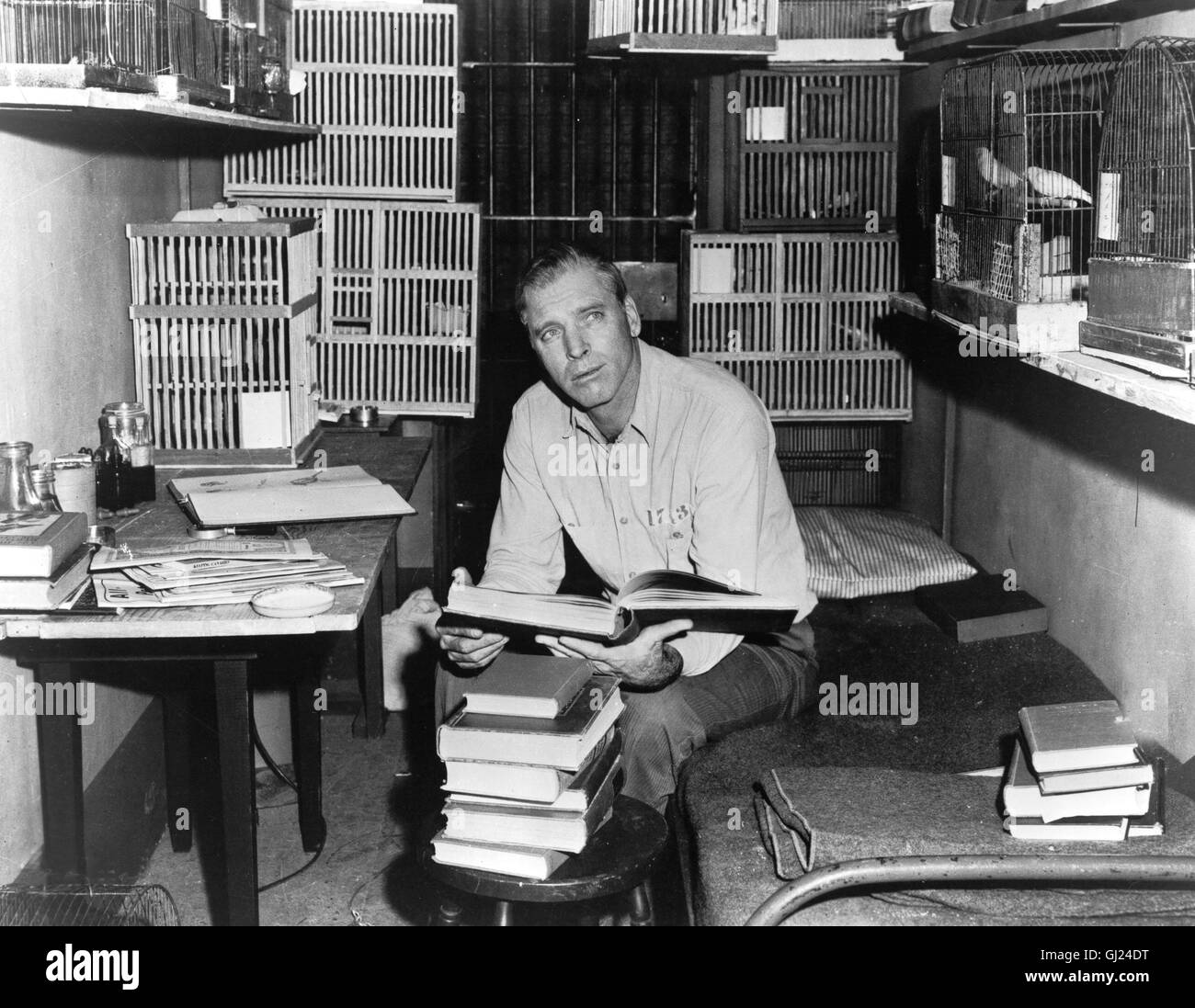 DER GEFANGENE VON ALCATRAZ Birdman of Alcatraö Der Film erzählt die Geschichte eines Doppelmörders, der sich während circuizione 53jährigen Haftzeit charakterlich wandelt und sich zu einem Experten der Vogelkunde entwickelt ... In der Hauptrolle: BURT LANCASTER als Robert Stroud. Regie: John Frankenheimer aka. Birdman of Alcatraz Foto Stock