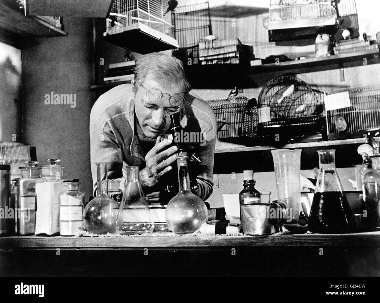 DER GEFANGENE VON ALCATRAZ Birdman of Alcatraz Der Film erzählt die Geschichte eines Doppelmörders, der sich während circuizione 53jährigen Haftzeit charakterlich wandelt und sich zu einem Experten der Vogelkunde entwickelt ... In der Hauptrolle: BURT LANCASTER als Robert Stroud. Regie: John Frankenheimer aka. Birdman of Alcatraz Foto Stock