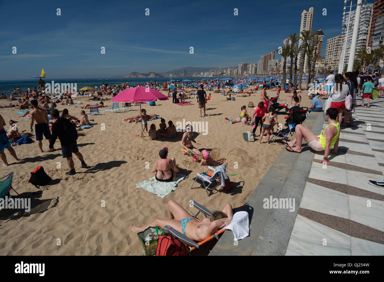 Spagna, Benidorm e la spiaggia di Levante, lucertole da mare e alti edifici in background Foto Stock