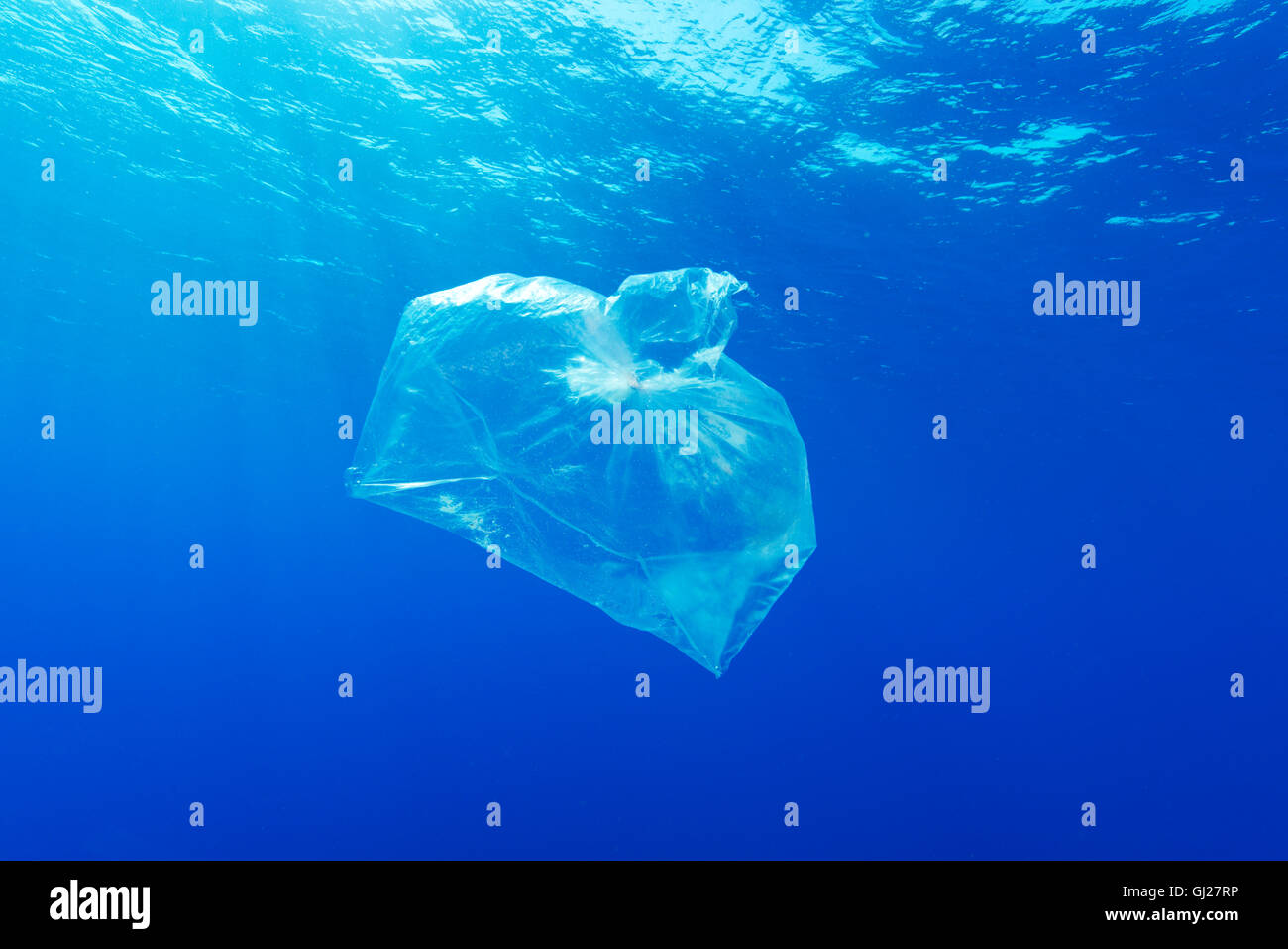 Inquinamento ambientale dei rifiuti di plastica floating sotto l'acqua, Mar Rosso, Egitto, Africa Foto Stock