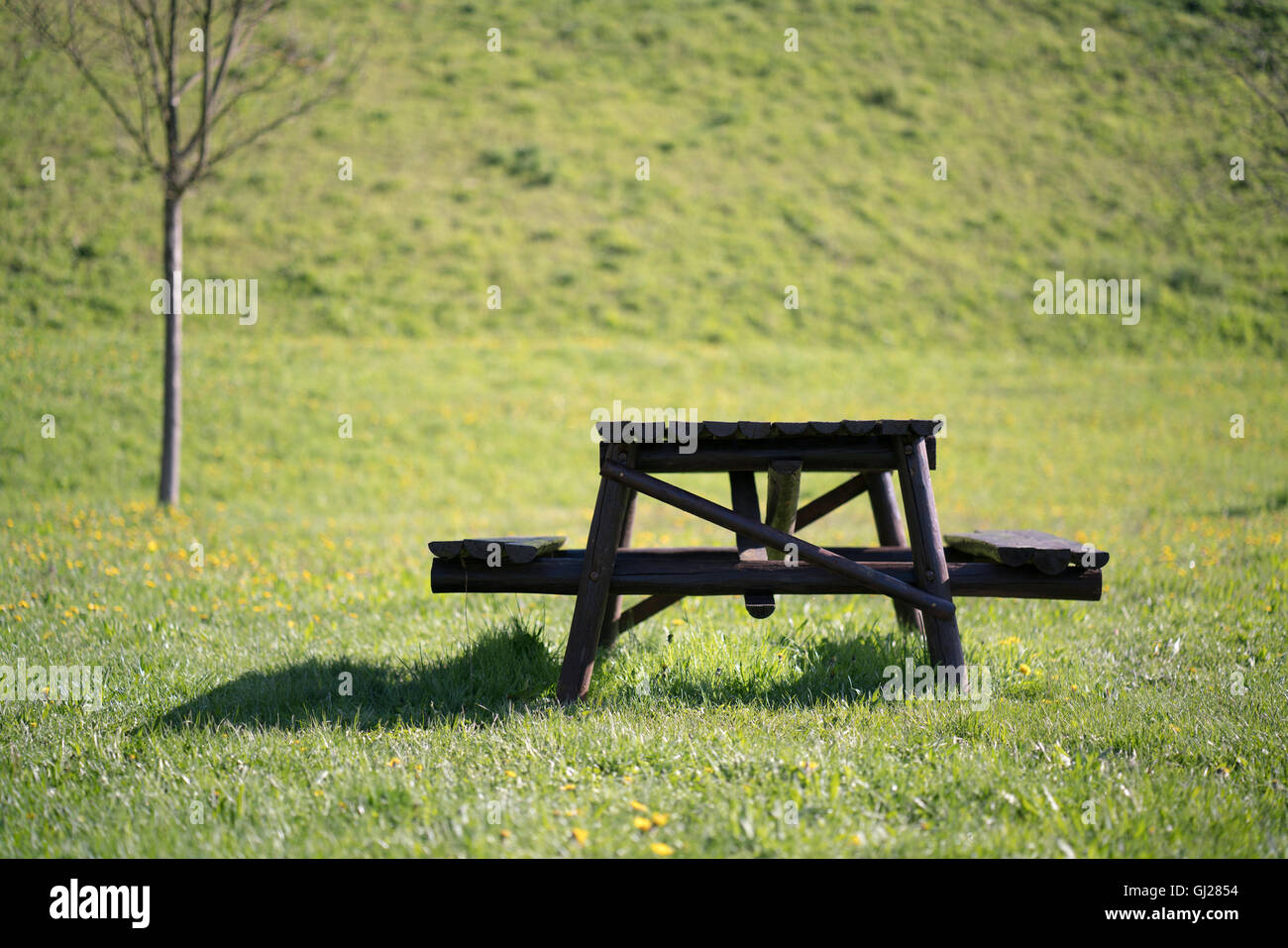 Tavolo in legno e panca su un verde prato Foto Stock