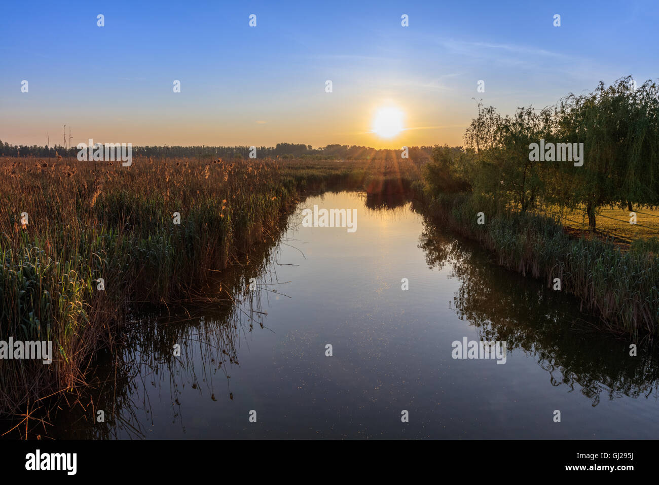 Sunrise nel Delta del Danubio Foto Stock