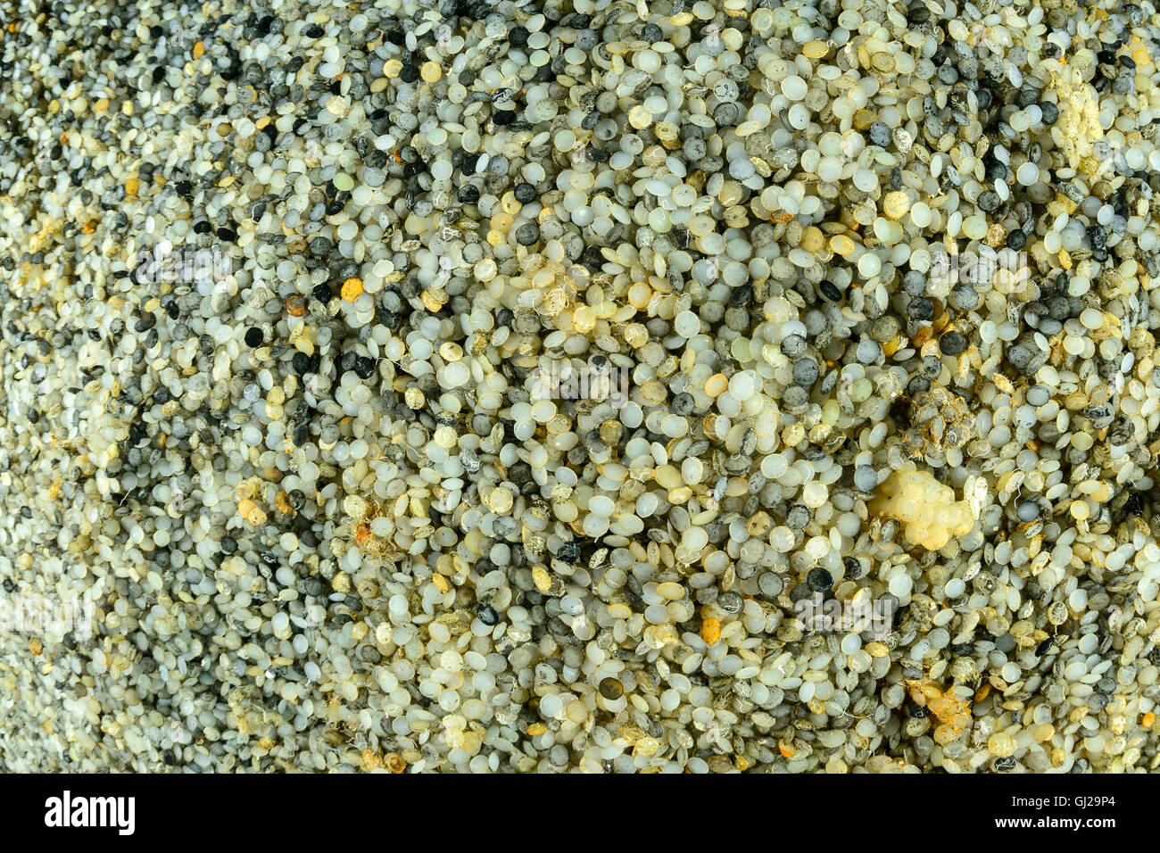 Naufragio Hamada con lenti in plastica, del carico di merci dalla nave relitto, Wadi Gimal, Marsa Alam, Mar Rosso, Egitto, Africa Foto Stock