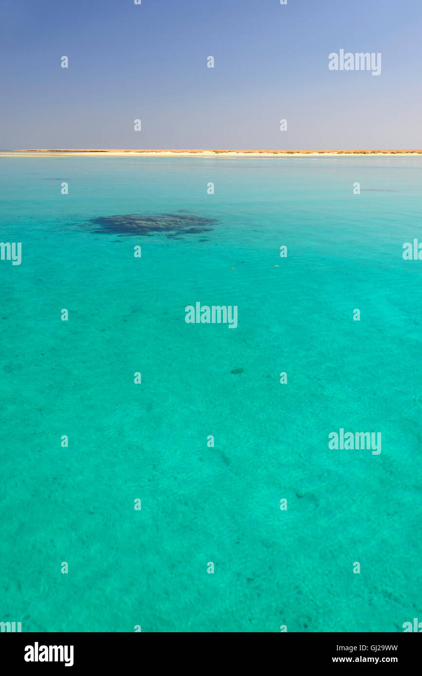 Coral reef blocco in turchese blue lagoon a Marsa Alam, Wadi Gimal National Park, Wadi Gimal, Marsa Alam, Mar Rosso, Egitto Foto Stock