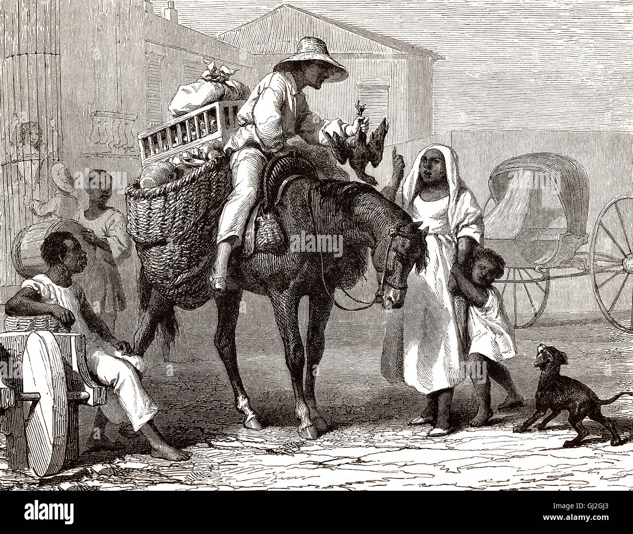 Fruiterer, venditori di pollame, Cuba, XIX secolo Foto Stock