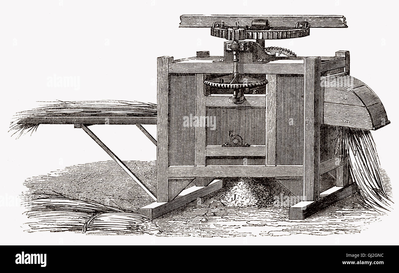 Vecchia macchina di trebbiatura, secolo XIX Foto Stock