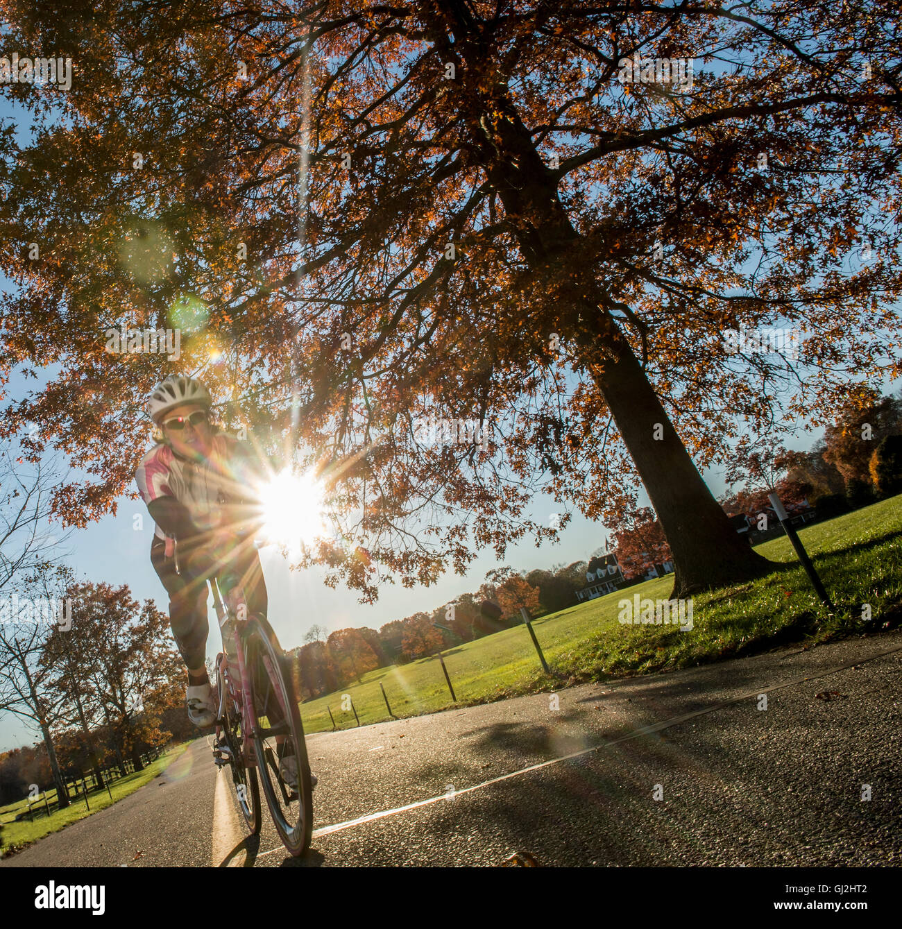 Angolo di visualizzazione del ciclista ciclismo in presenza di luce solare Foto Stock