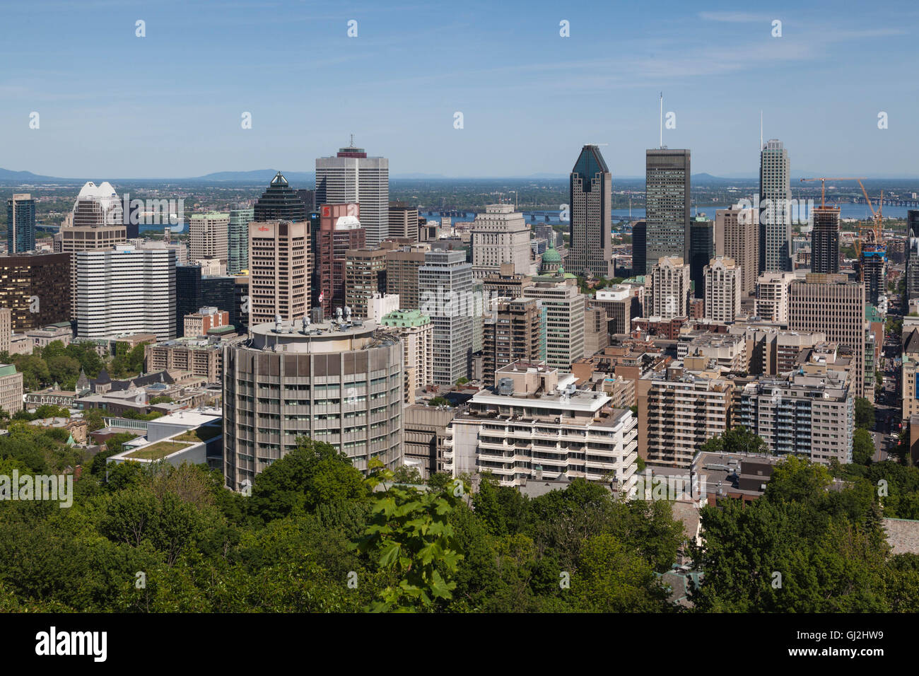 La città di Montreal come vista da Mount Royal. Foto Stock