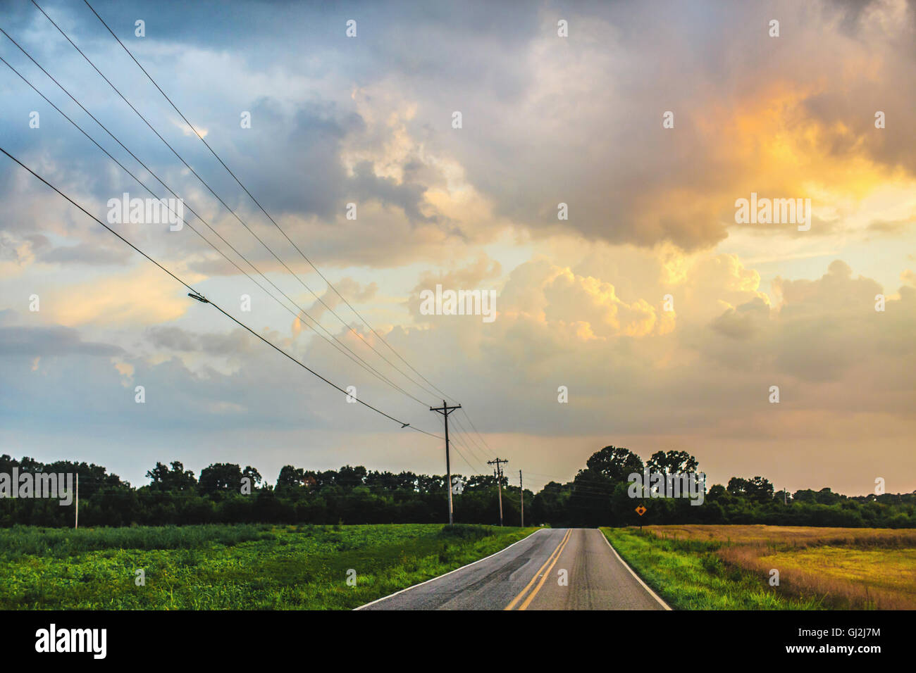 Pali del telegrafo e diminuendo prospettiva della strada rurale Foto Stock