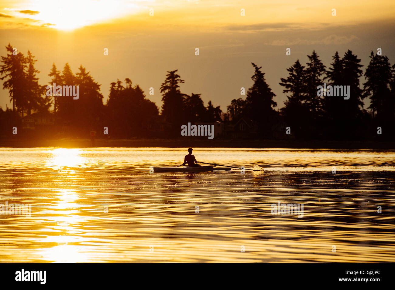 Stagliano uomo canottaggio scull unico sul Puget Sound al tramonto, Winslow, Bainbridge Island, nello Stato di Washington, USA Foto Stock