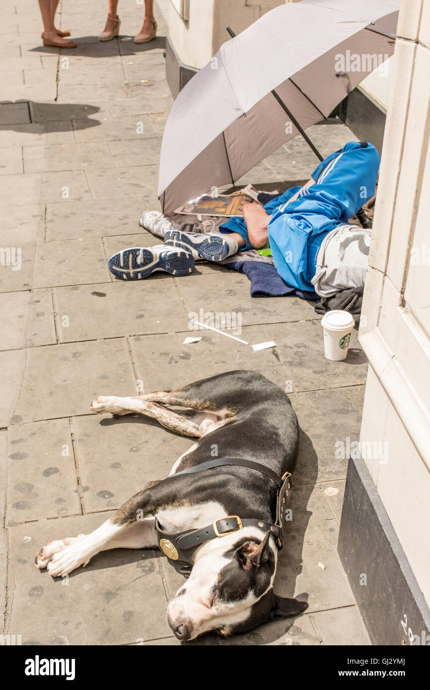 Una donna senzatetto restare al di fuori del sole seduti sotto un ombrello sul marciapiede. Il suo cane dorme sulla strada con lei. Foto Stock