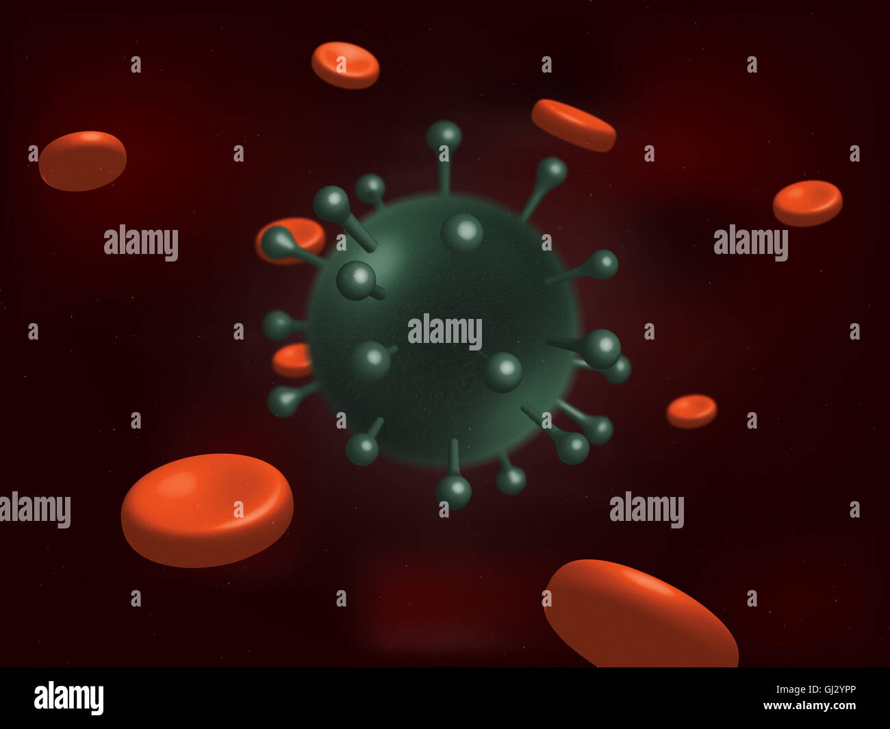 virus HIV 1 Foto Stock