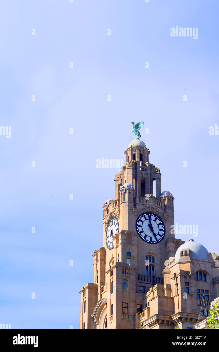 Liverpool Liver Building clock tower, Merseyside, Regno Unito. Foto Stock