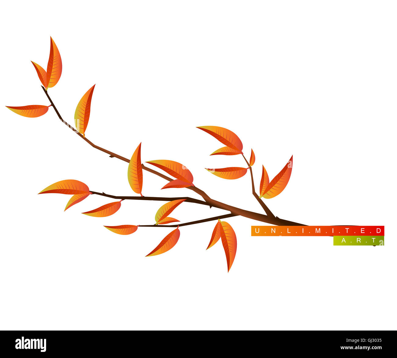 Ramo di albero Foto Stock