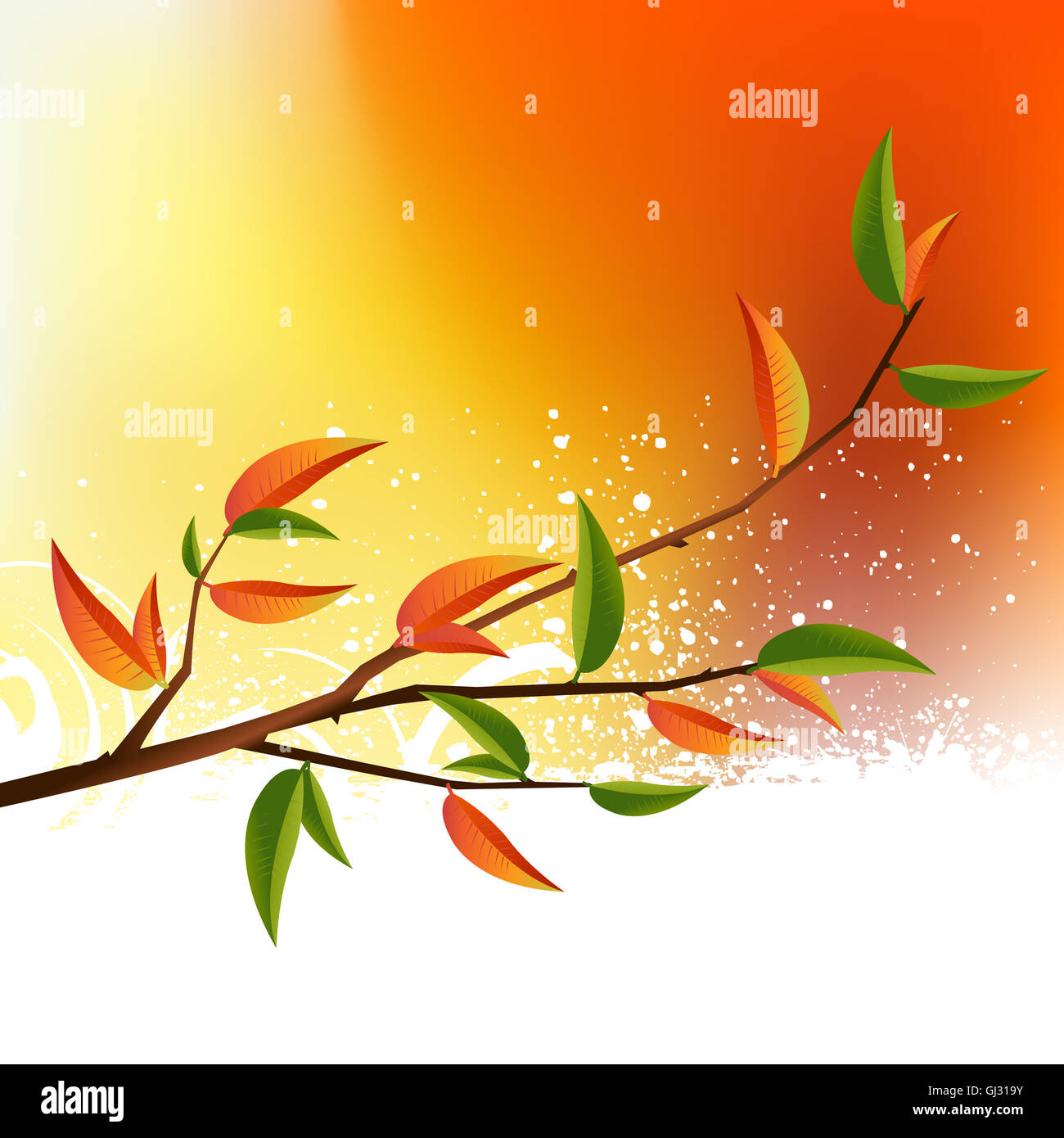 Ramo di albero Foto Stock