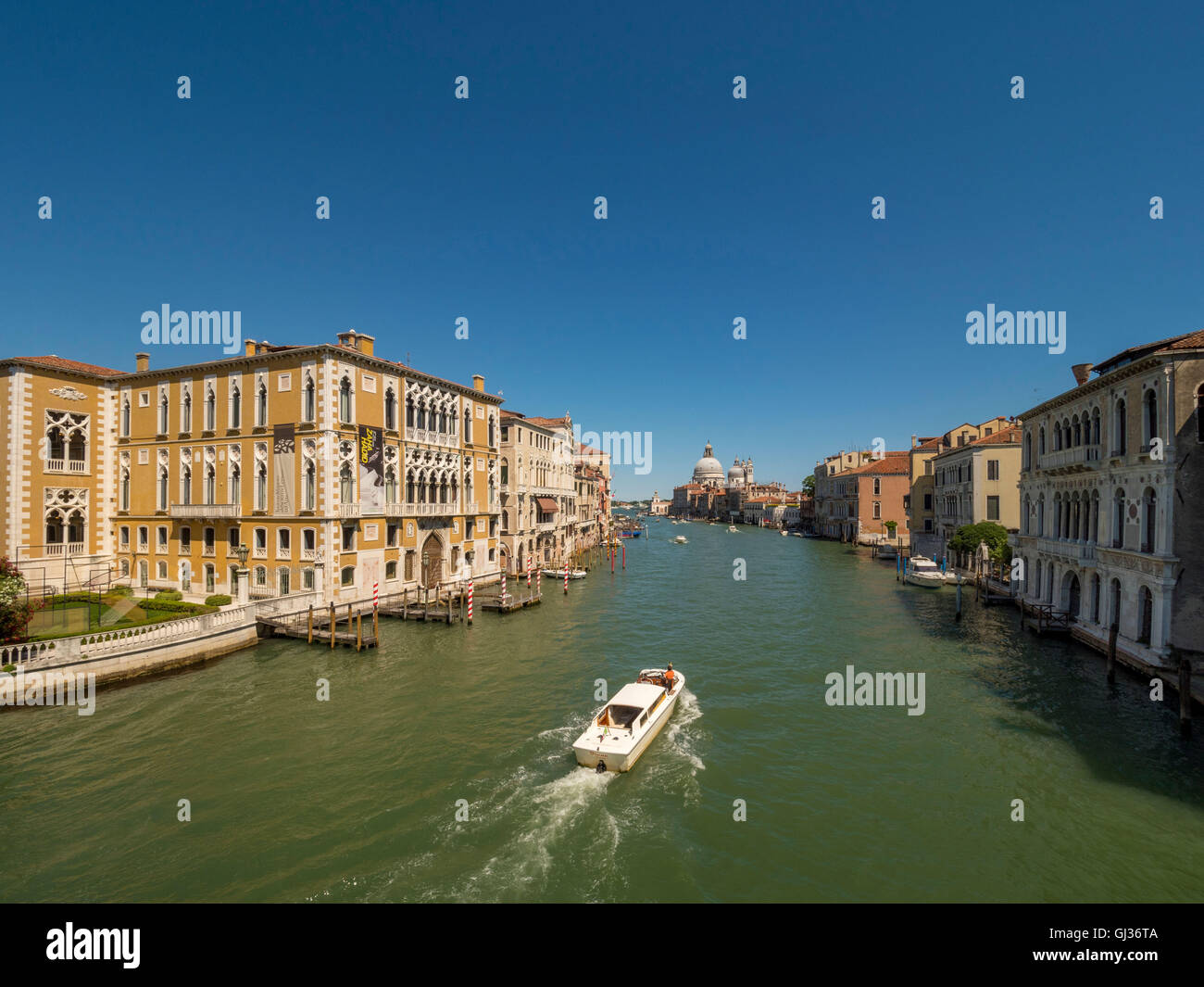 Palazzo Cavalli-Franchetti e il Grand Canal, Venezia, con la cupola di Santa Maria della Salute in distanza. Foto Stock