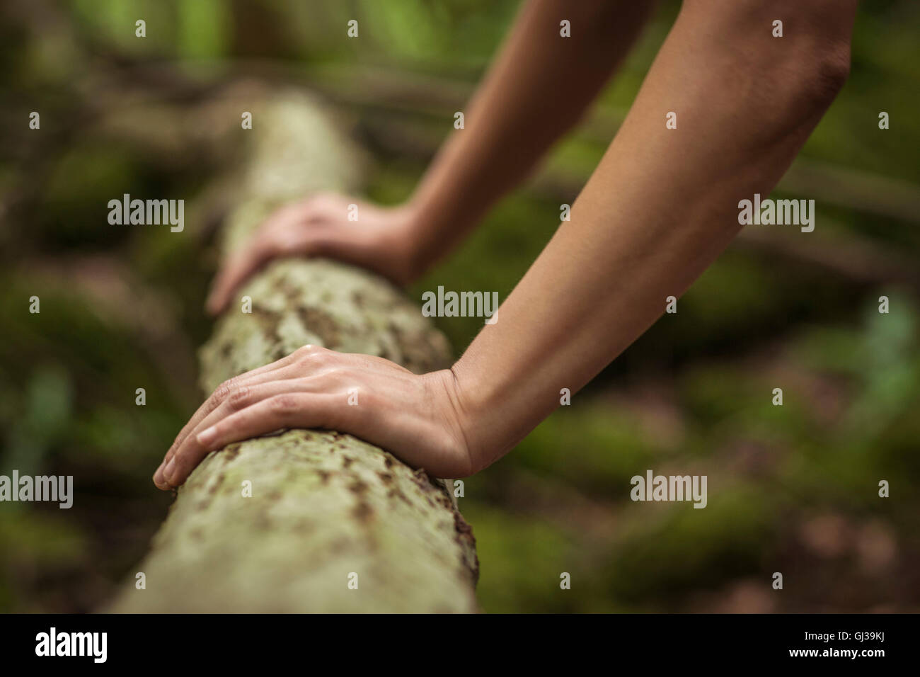 Metà donna adulta di esercitare nella foresta, facendo push-up sul log, close-up Foto Stock