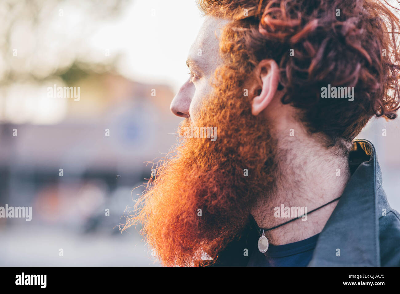 Profilo del giovane maschio hipster con capelli rossi e barba Foto Stock