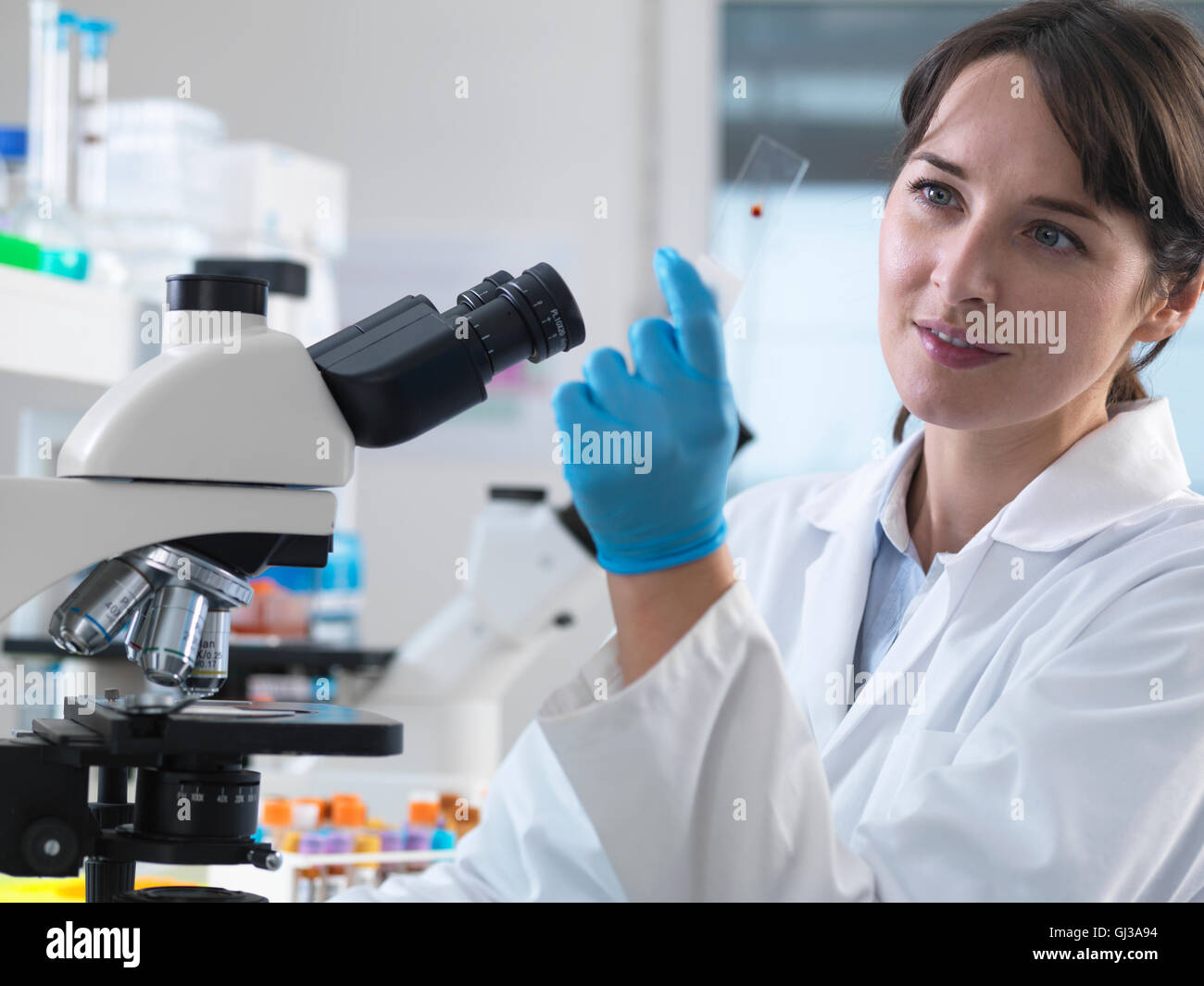 Visualizzazione dello scienziato campione di sangue umano sul vetrino in laboratorio Foto Stock