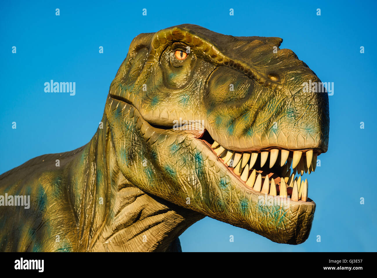 NOVI SAD SERBIA - 5 agosto 2016: Tirannosauro vita dimensioni modello di animale preistorico di intrattenimento a tema Dino Park. Foto Stock