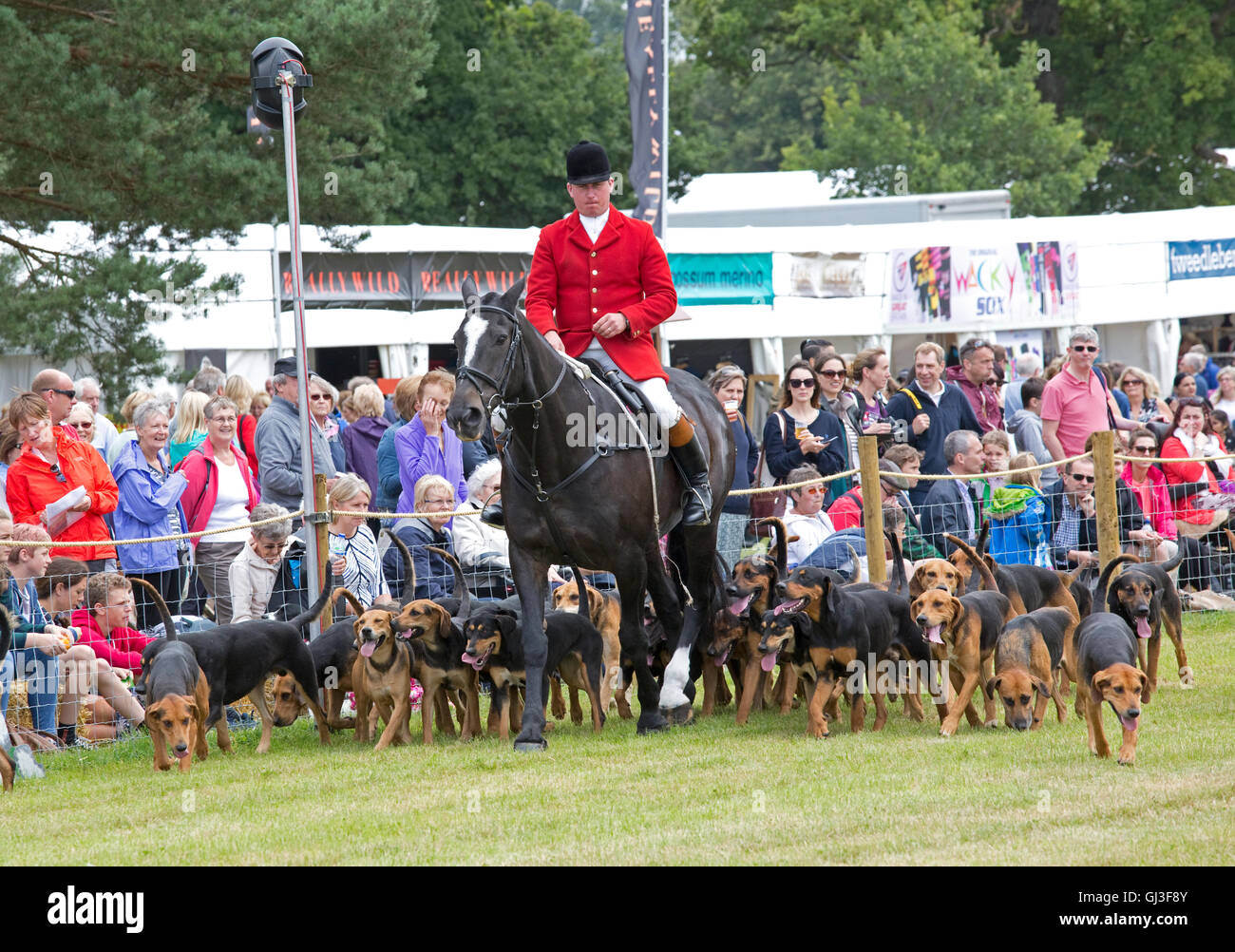 La folla di visitatori la visione di suoneria e master hounds Countryfile Live 2016 Blenheim Palace Woodstock Regno Unito Foto Stock