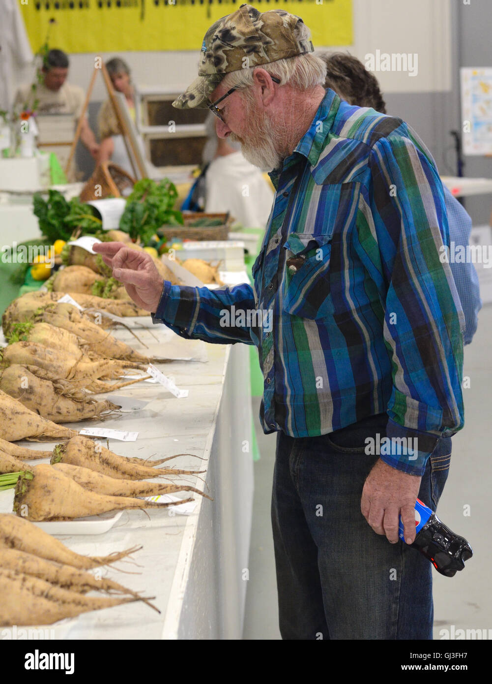 Coltivatore a Boulder County Fair. Barbabietole da zucchero coltivate commercialmente nella contea di Boulder sono visualizzati tra gli altri i prodotti agricoli locali. Foto Stock