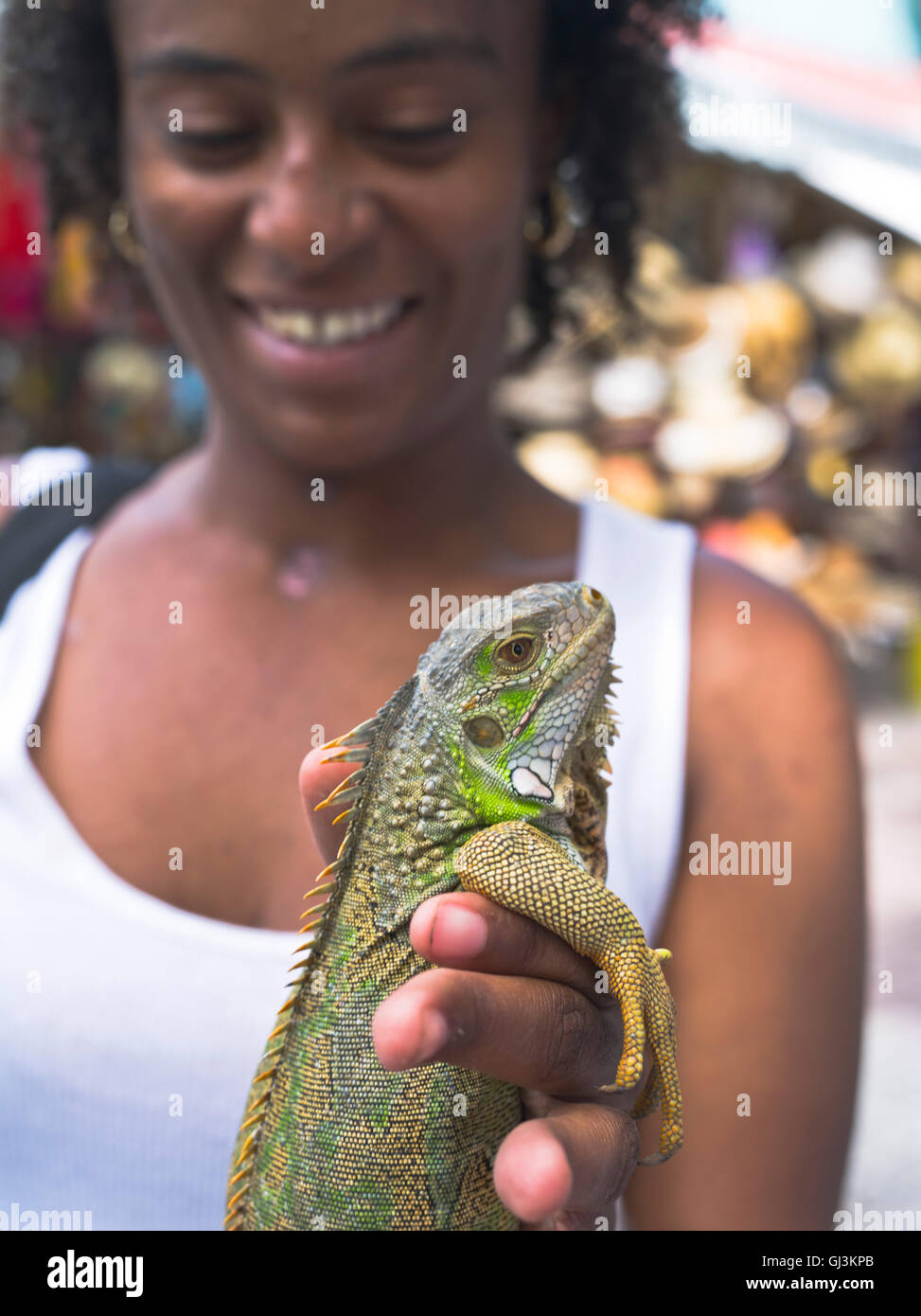 dh Philipsburg West indies ST MAARTEN CARIBBEAN Girl con iguana animali domestici mano che tiene lucertola persone animali insoliti Foto Stock