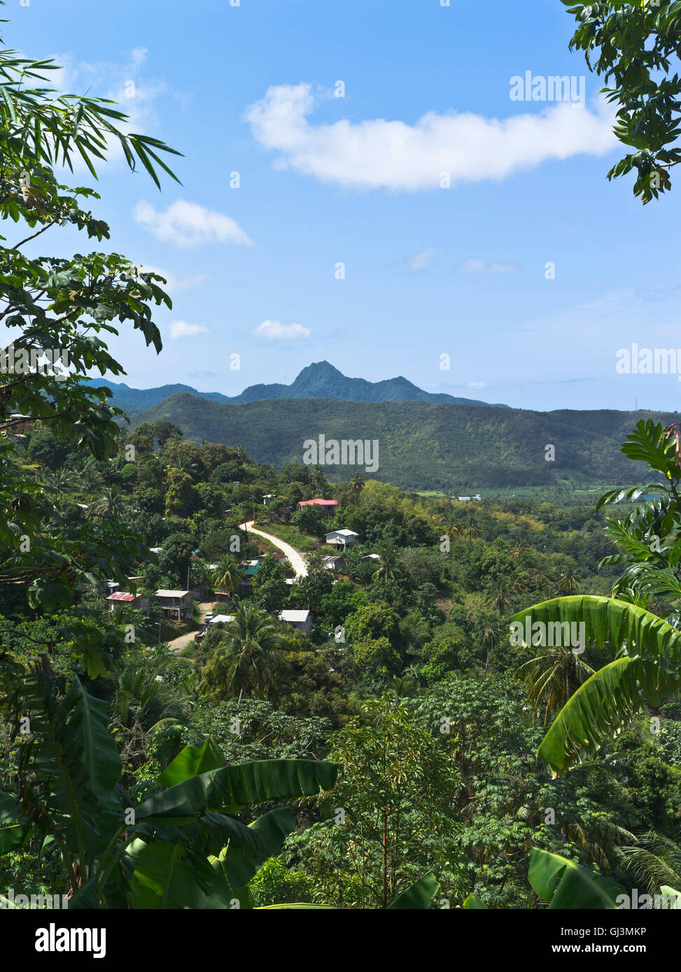 Dh Roseau Valley ST LUCIA CARAIBI Valle di piantagioni di banane scenario piantagione di vista Foto Stock
