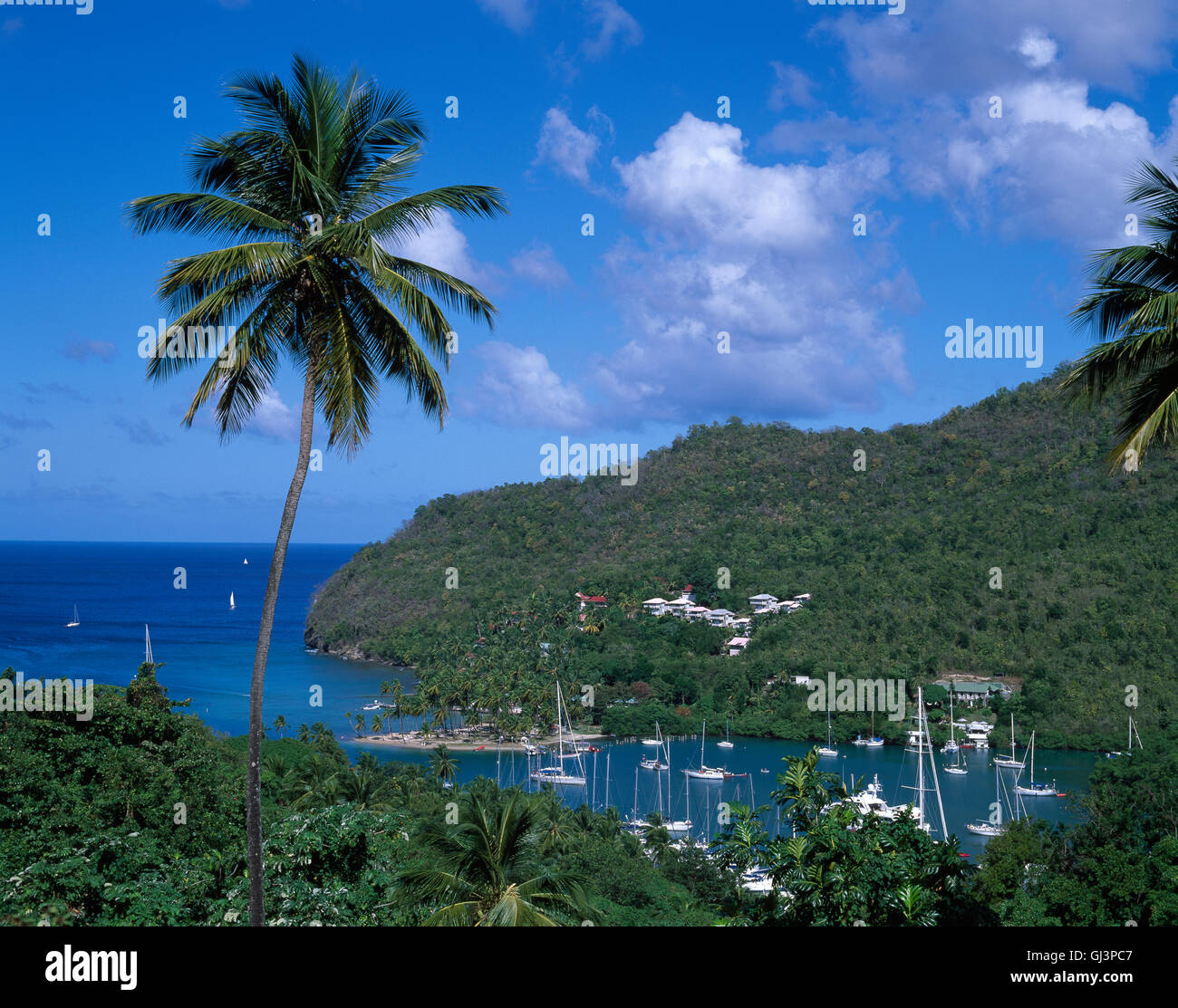 Marigot Bay, Santa Lucia, il mare dei Caraibi, West Indies Foto Stock