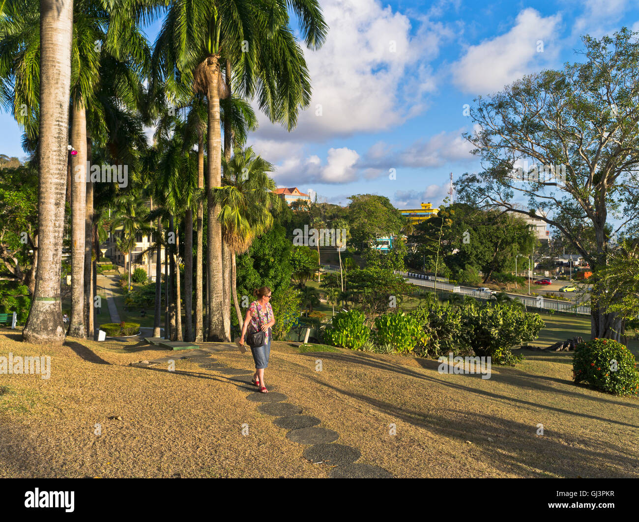 dh Scarborough Botanical Gardens TOBAGO CARIBBEAN Woman Tourist in giardino percorso alto palme botaniche trinidad botanica Foto Stock