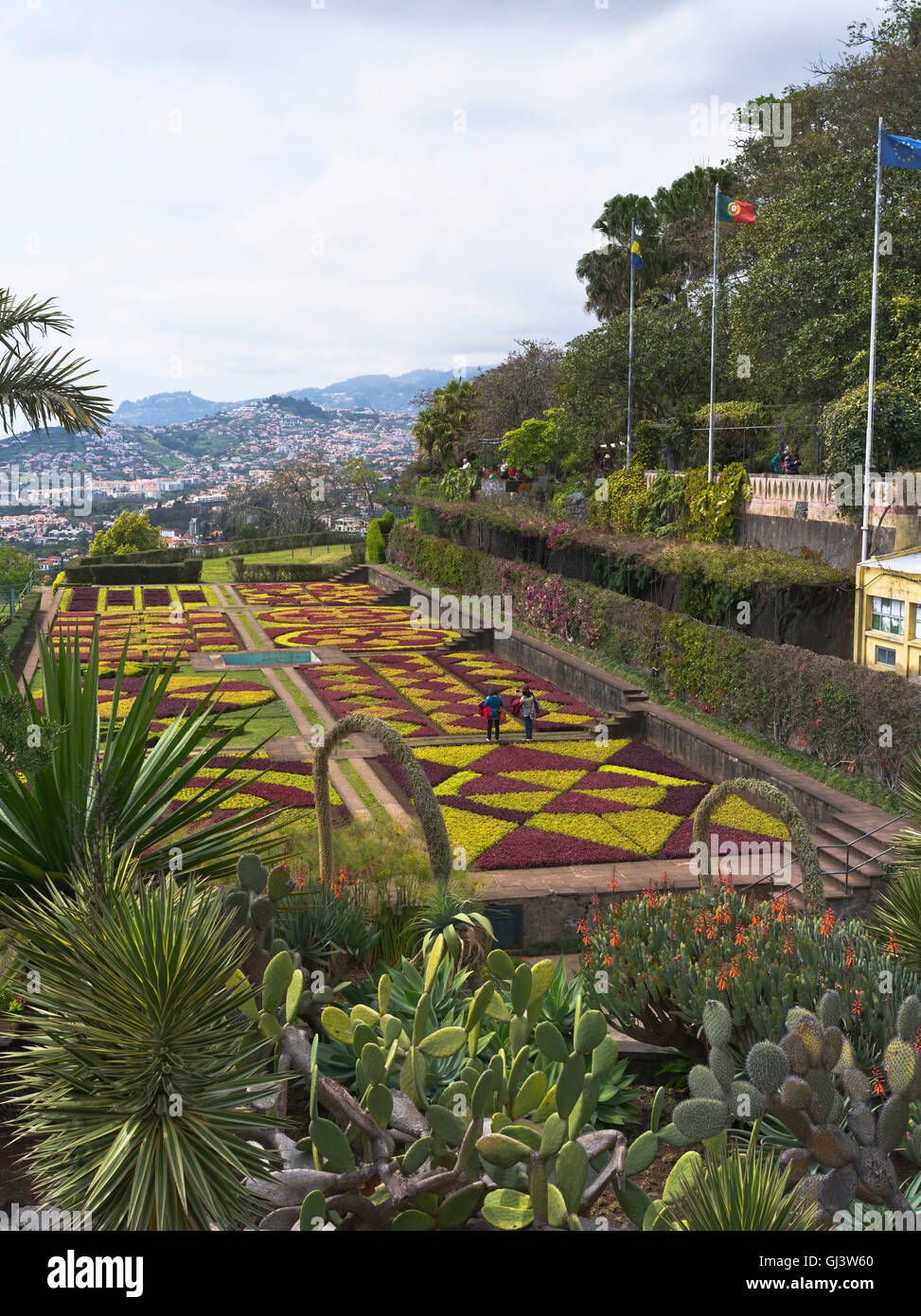 Dh Giardini Botanici Funchal Madeira turisti visualizzazione impianto hedge mosaico letti terrazza giardino Foto Stock