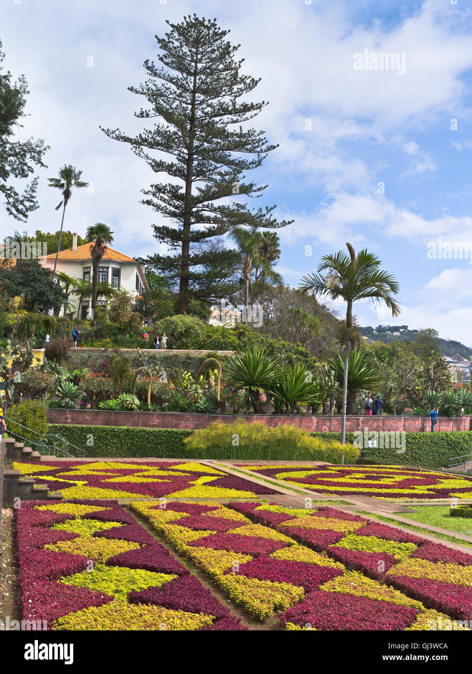 Dh Giardini Botanici Funchal Madeira hedge impianto Mosaico pattern letti terrazza giardino Foto Stock