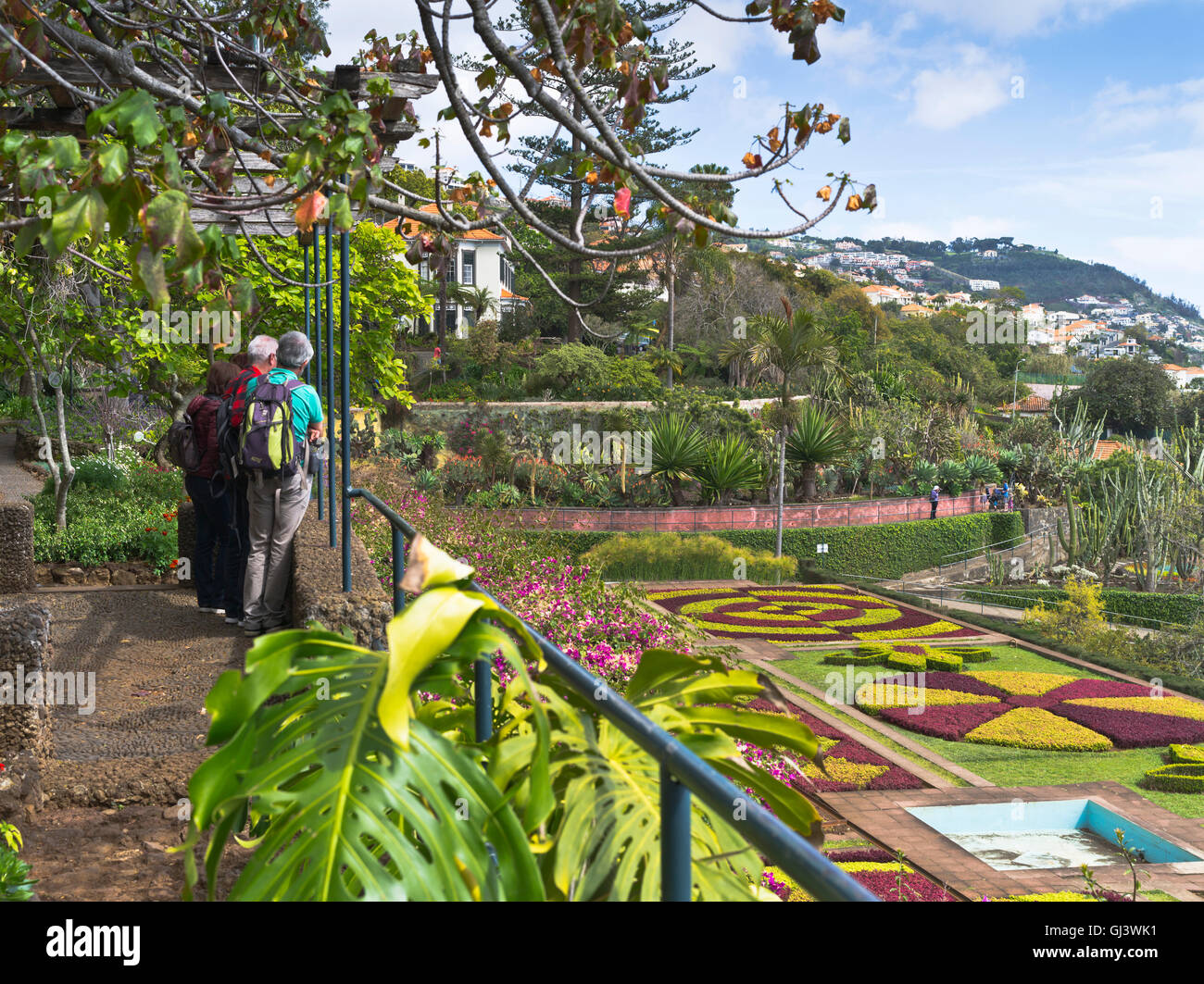dh Botanical Terrace Gardens FUNCHAL MADEIRA turisti che guardano siepi pianta mosaico motivi letti giardino turistico Foto Stock